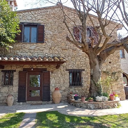 B&B All'Ombra di San Damiano Assisi Esterno foto