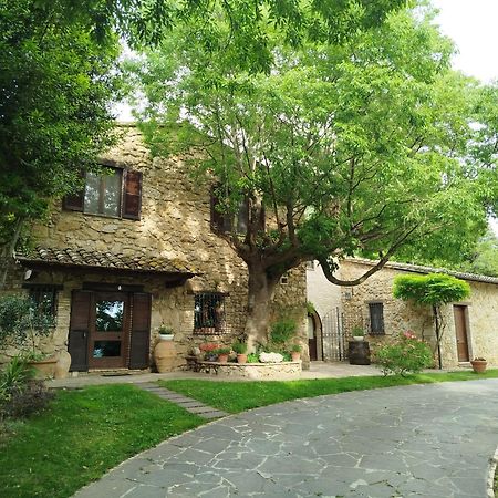 B&B All'Ombra di San Damiano Assisi Esterno foto