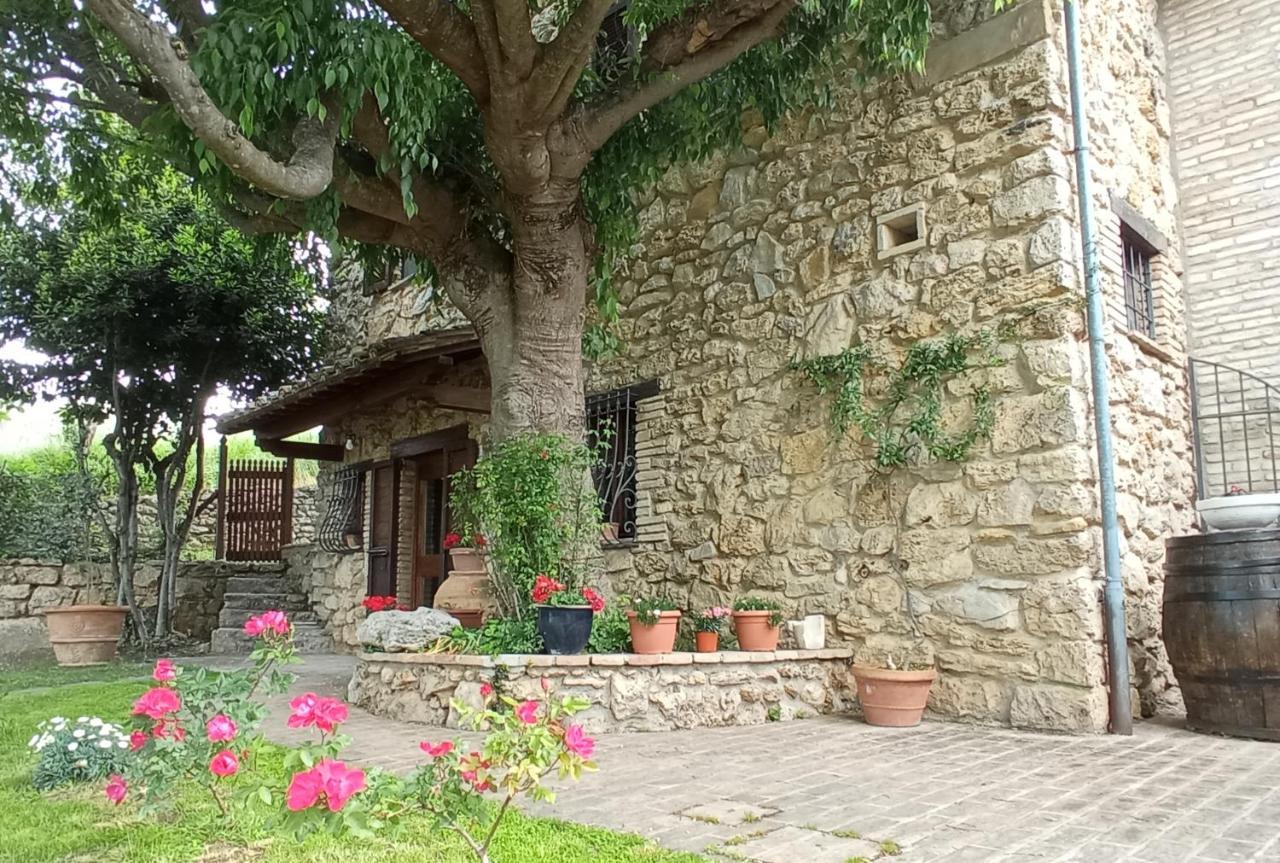 B&B All'Ombra di San Damiano Assisi Esterno foto