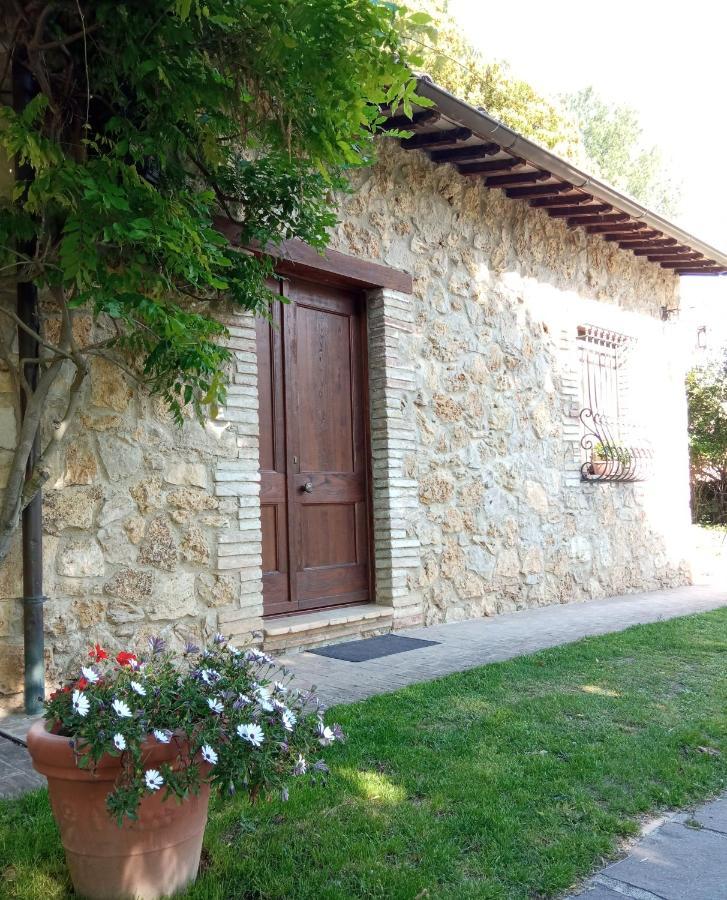 B&B All'Ombra di San Damiano Assisi Esterno foto