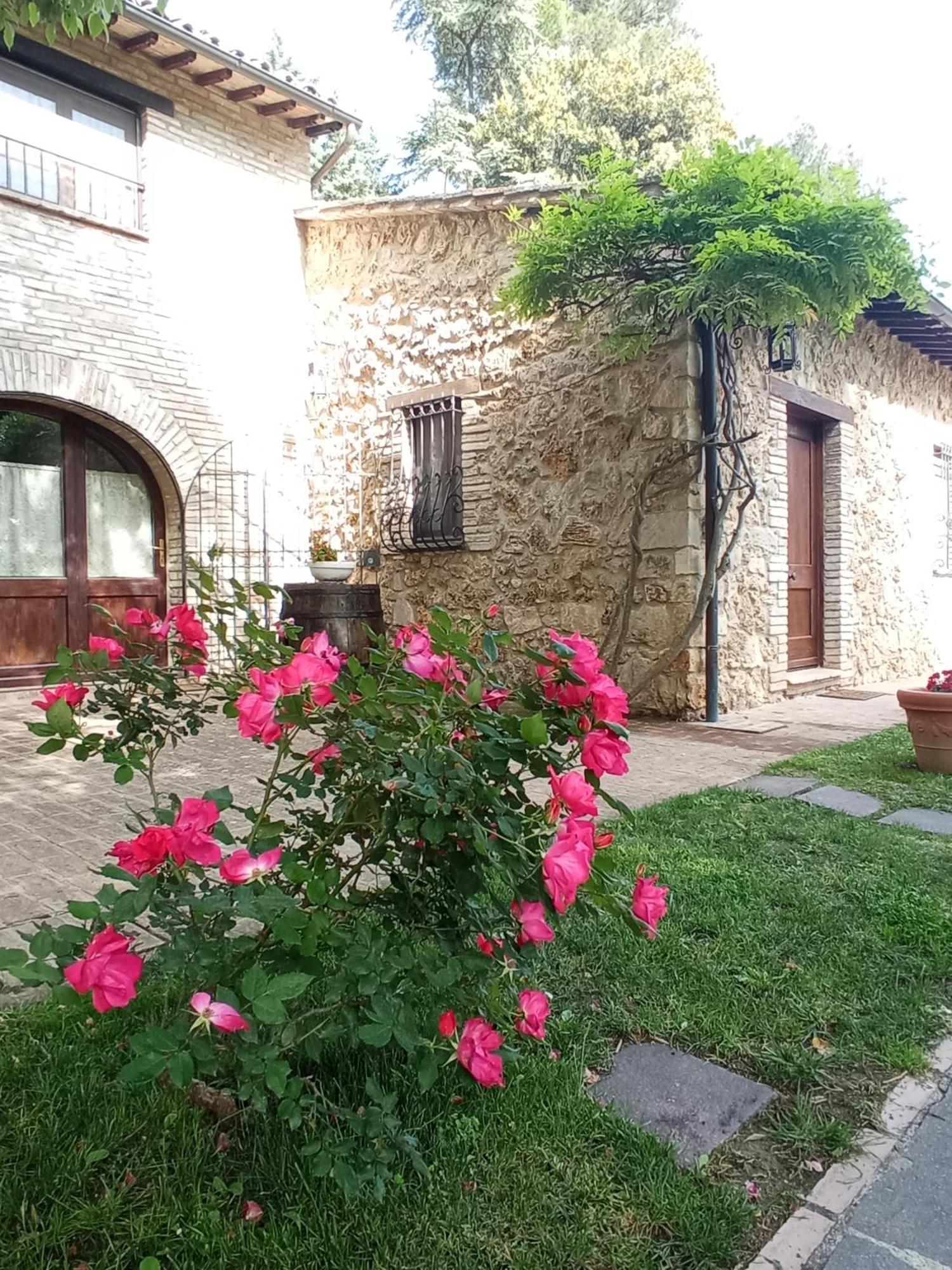 B&B All'Ombra di San Damiano Assisi Esterno foto