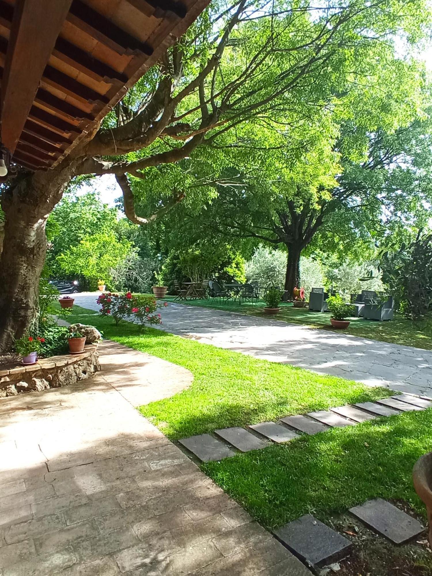 B&B All'Ombra di San Damiano Assisi Esterno foto