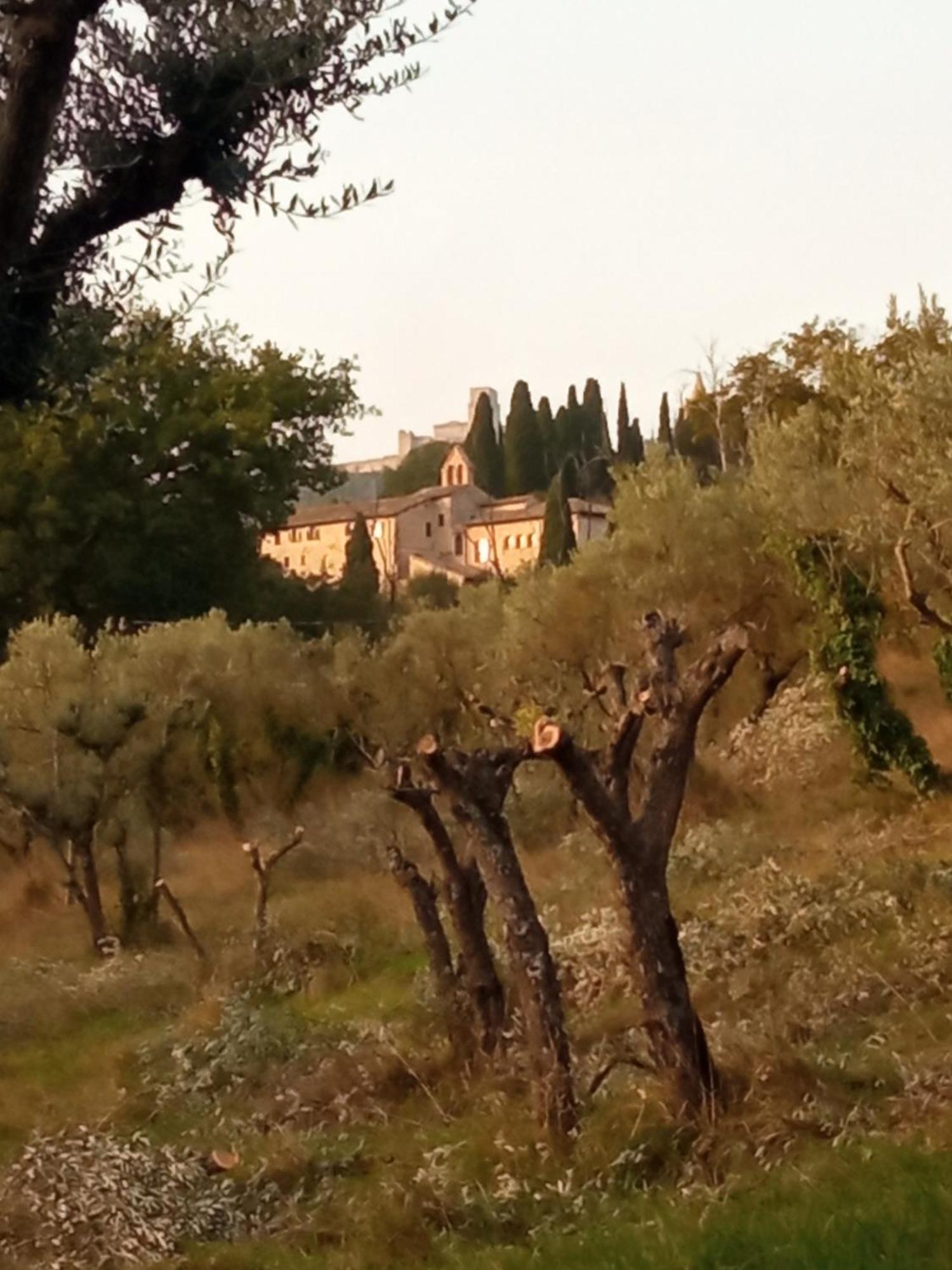 B&B All'Ombra di San Damiano Assisi Esterno foto