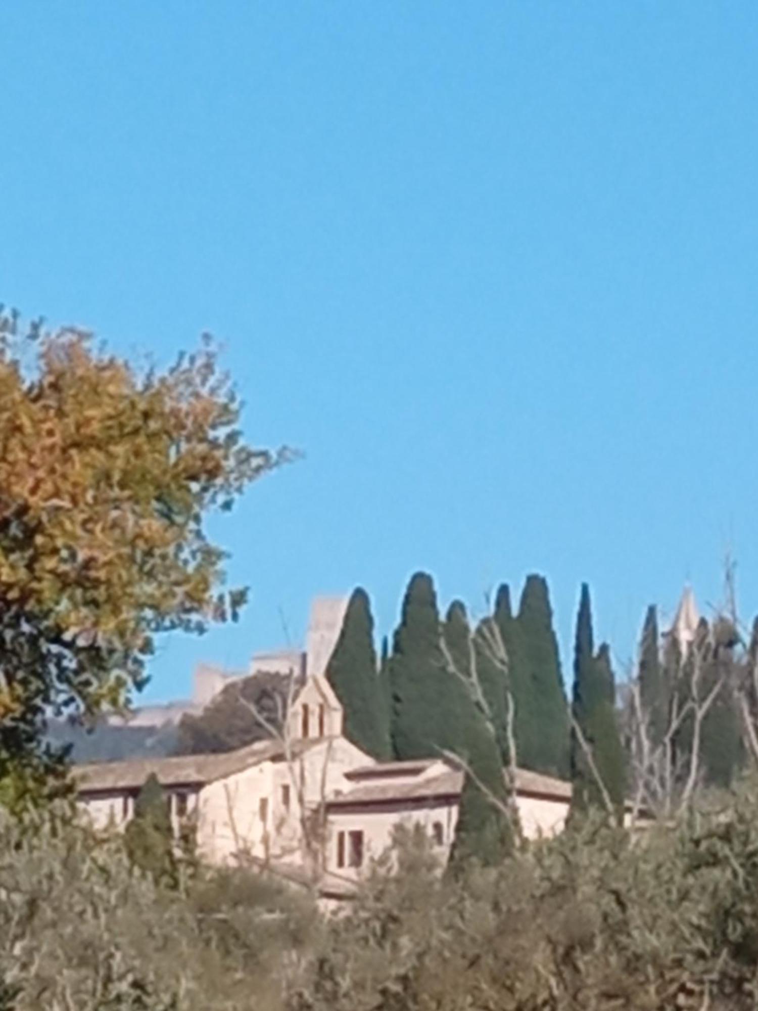 B&B All'Ombra di San Damiano Assisi Esterno foto