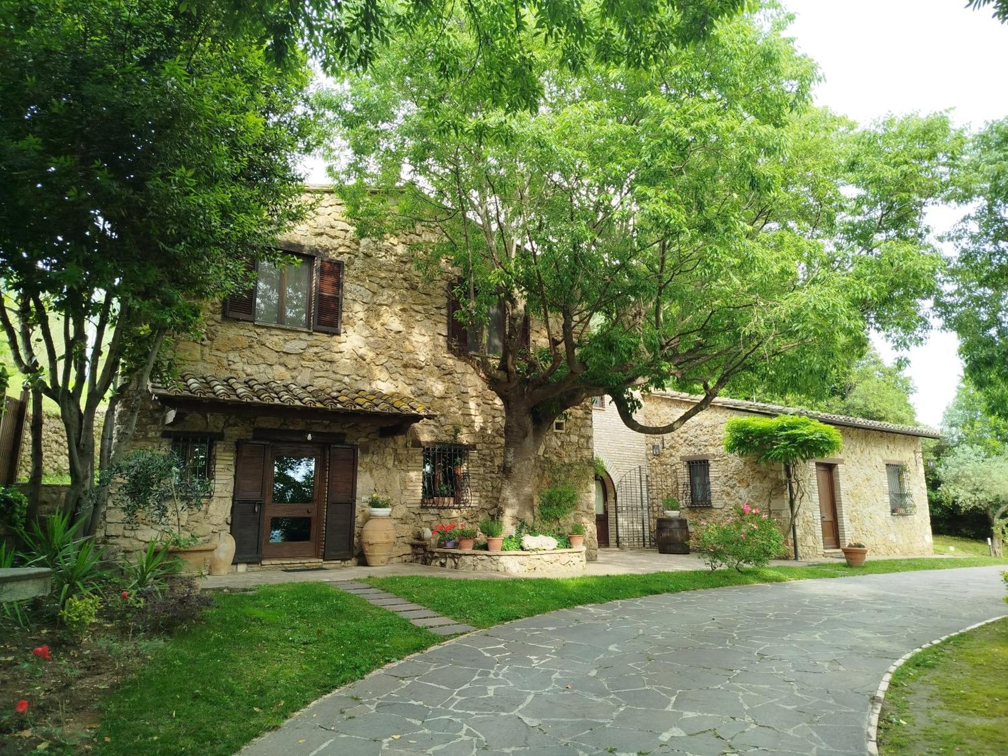 B&B All'Ombra di San Damiano Assisi Esterno foto