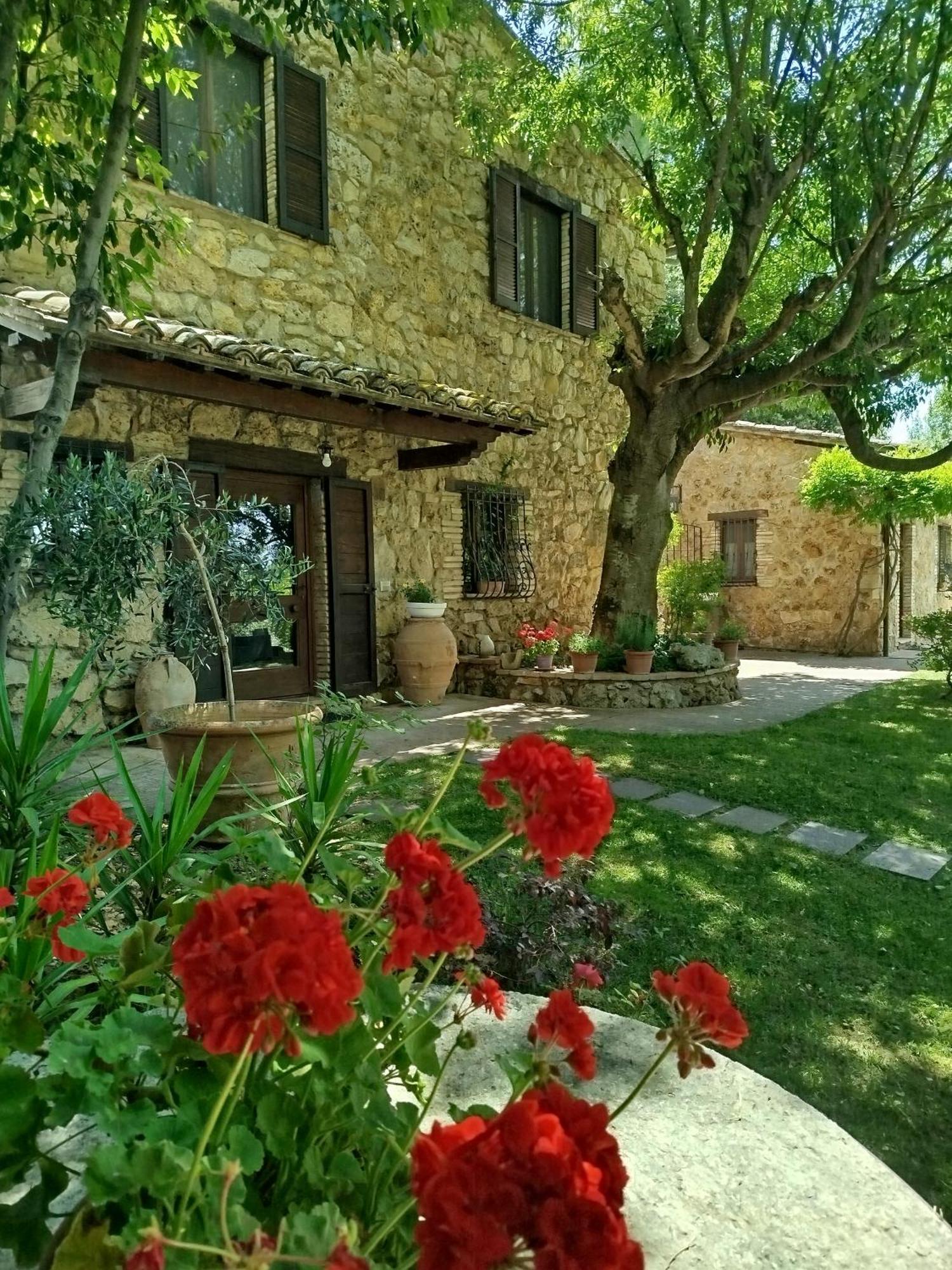 B&B All'Ombra di San Damiano Assisi Esterno foto