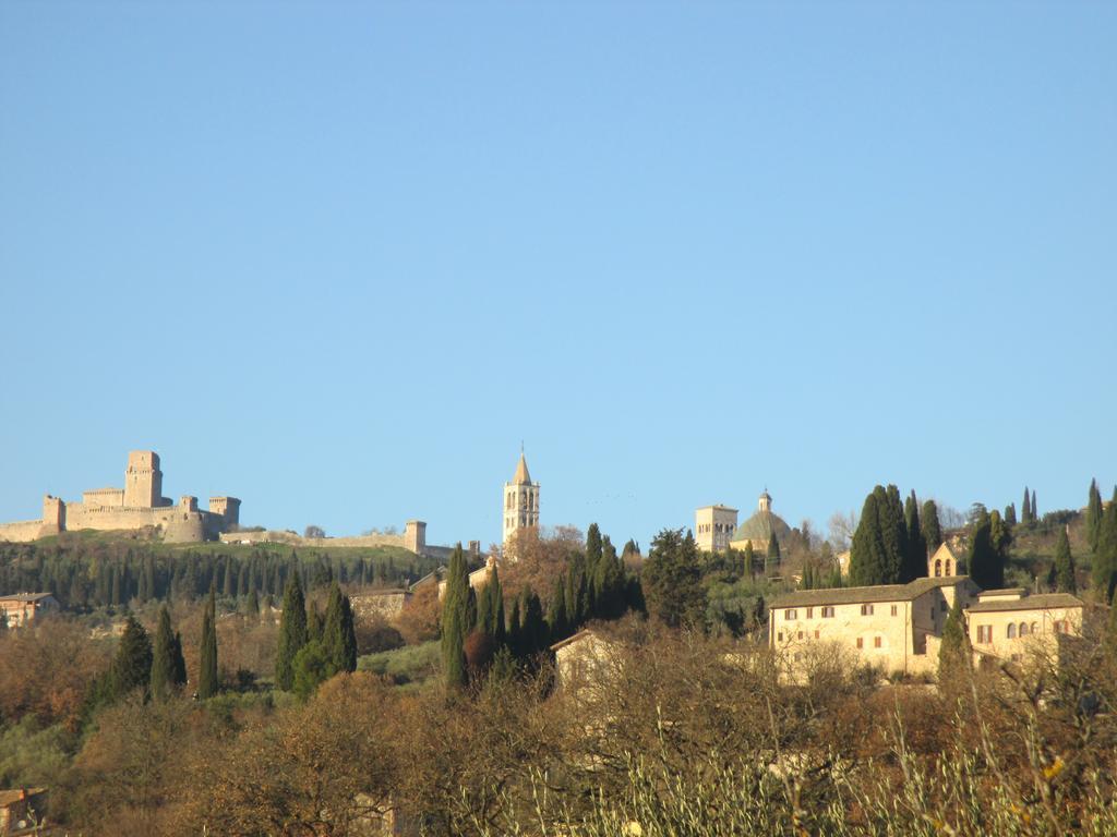B&B All'Ombra di San Damiano Assisi Esterno foto